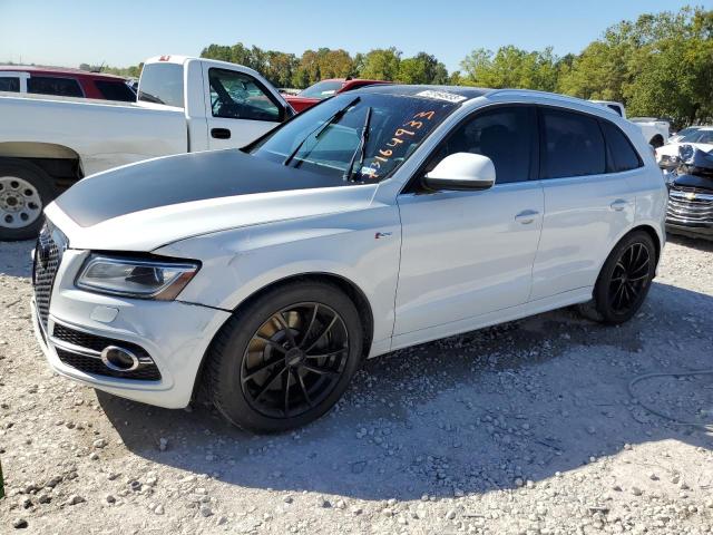 Audi Sq5 (2014)