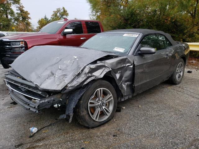 Ford All models (2013)