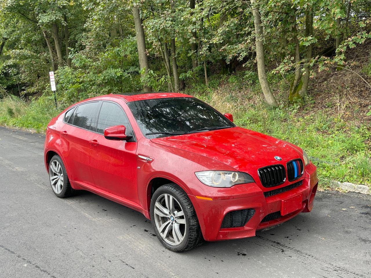 Bmw X6 m (2011)