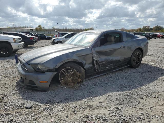 Ford All models (2013)