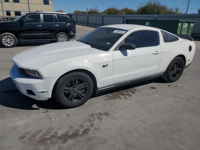 Ford All models (2011)