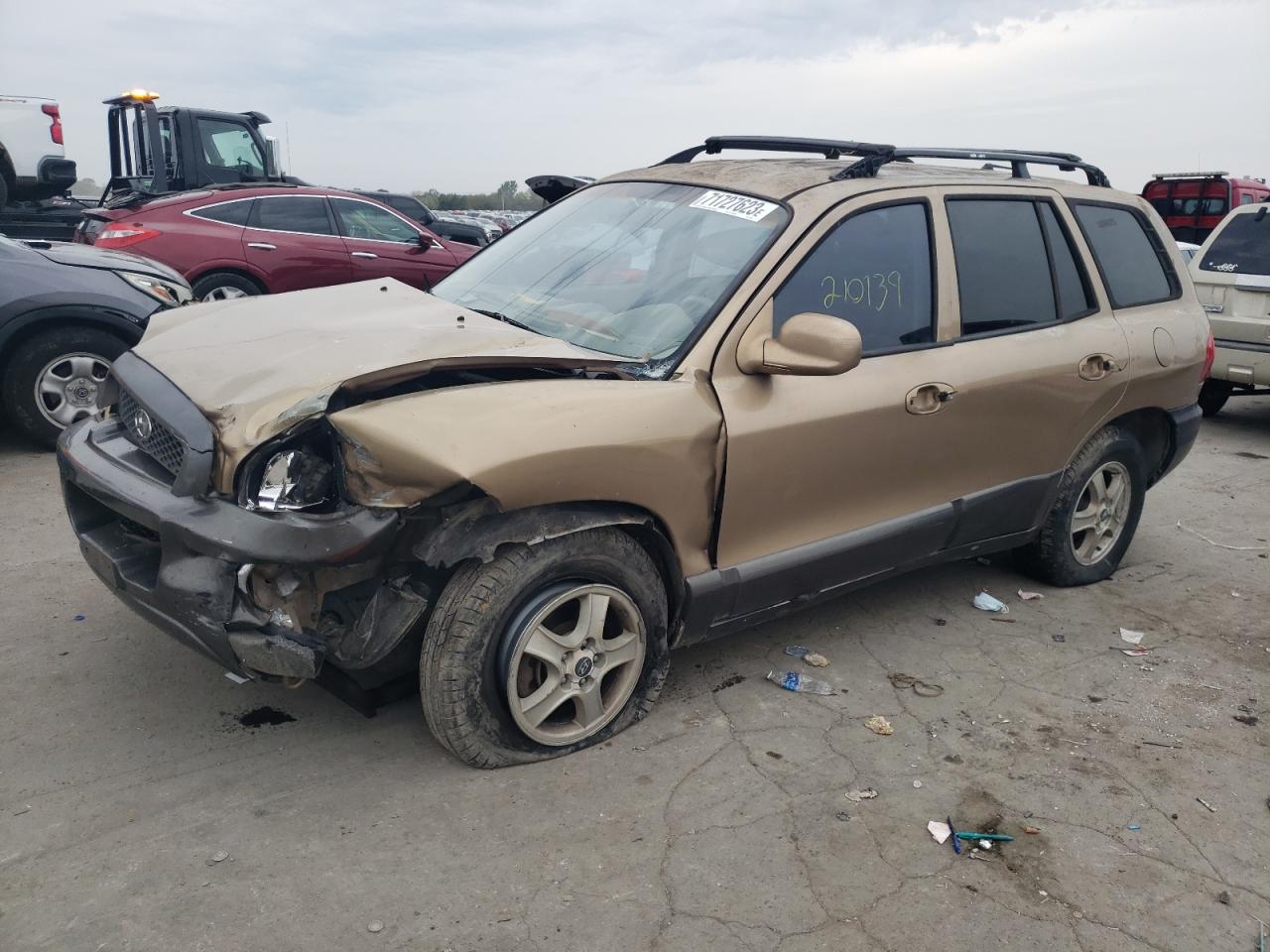 Hyundai Santa fe g (2004)