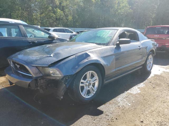 Ford All models (2013)