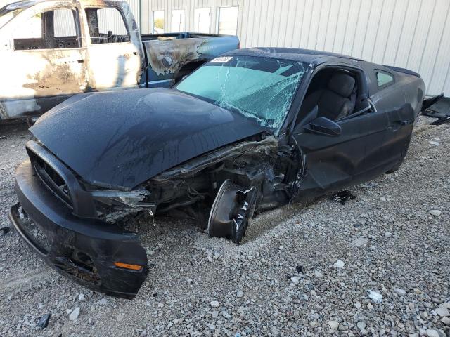 Ford All models (2014)