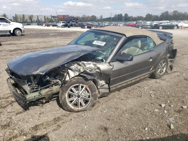 Ford All models (2005)