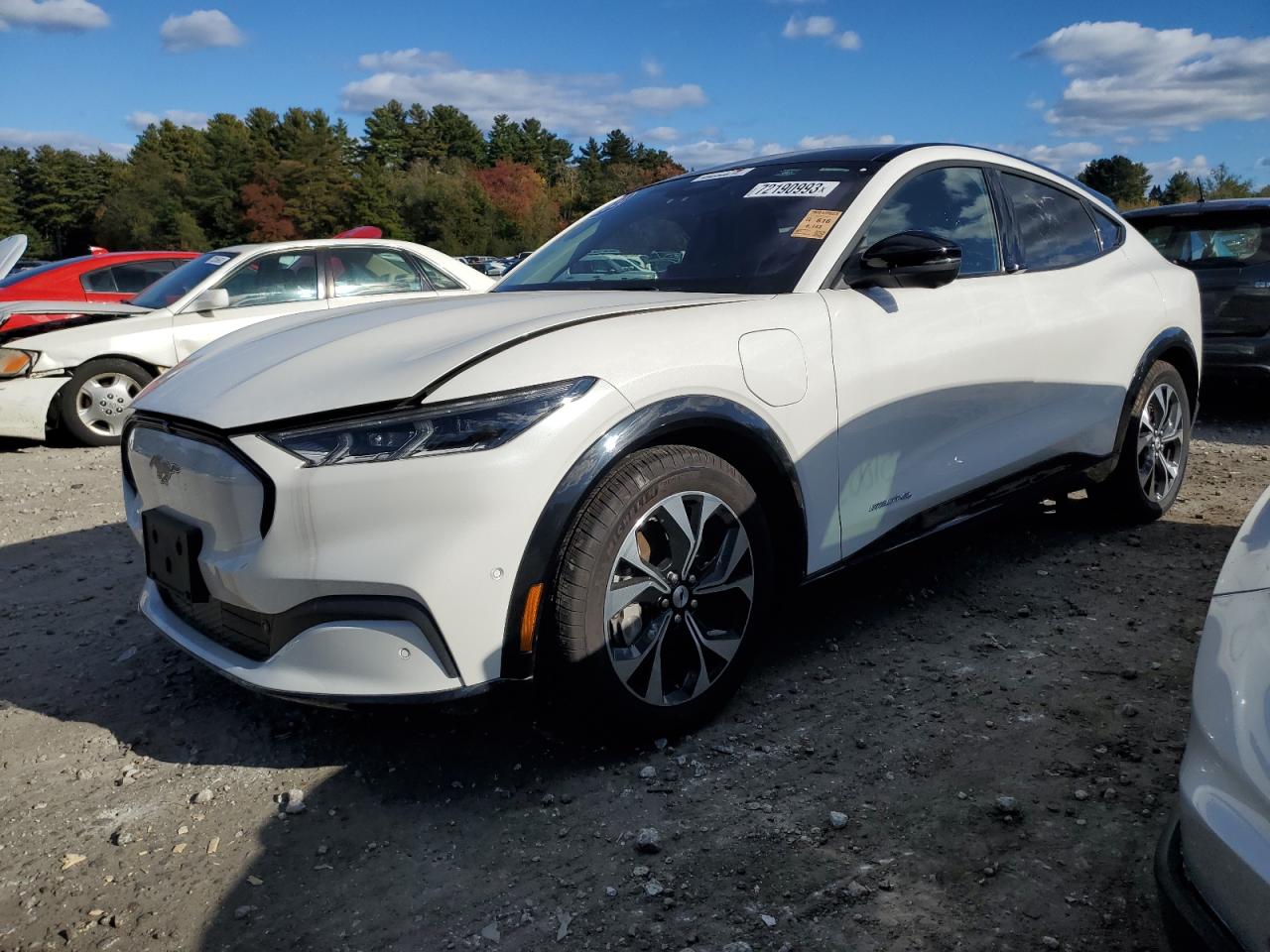 Ford Mustang ma (2021)