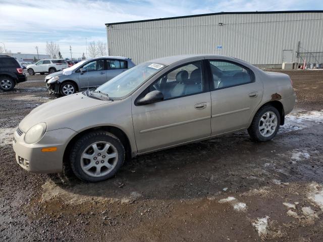 Dodge Neon (2003)