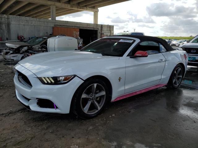 Ford All models (2017)