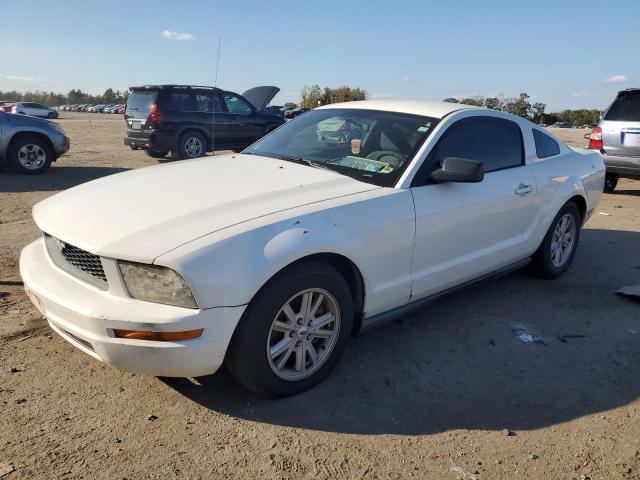Ford All models (2005)
