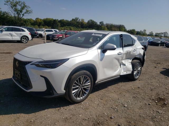 Lexus Nx 350 (2022)