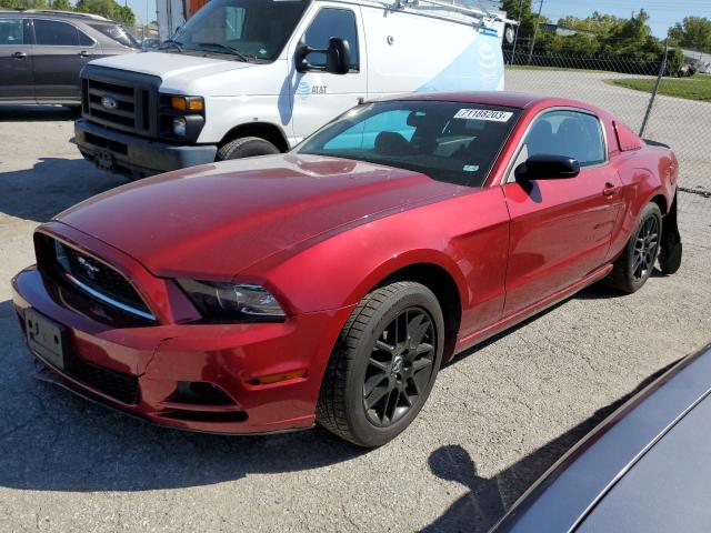 Ford All models (2014)