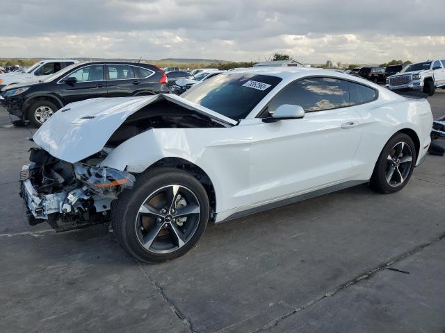 Ford All models (2023)