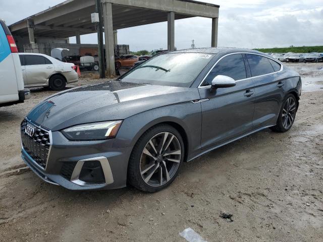 Audi S5-rs5 (2020)