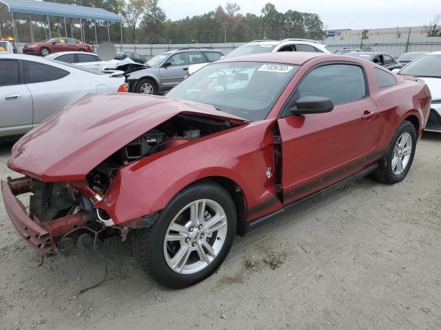 Ford All models (2010)