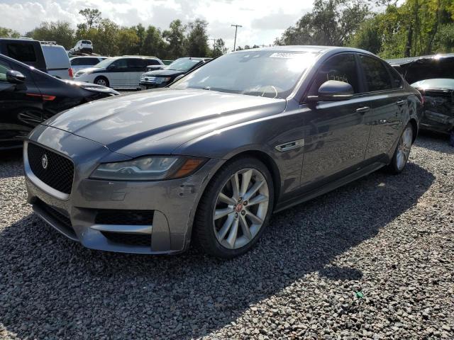 Jaguar Xf r - spo (2016)