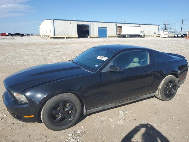Ford All models (2012)