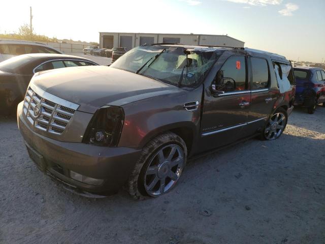 Cadillac Escalade (2011)