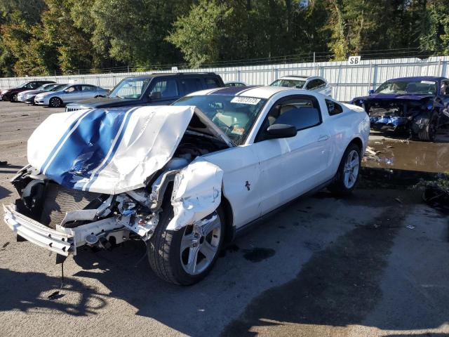 Ford All models (2010)