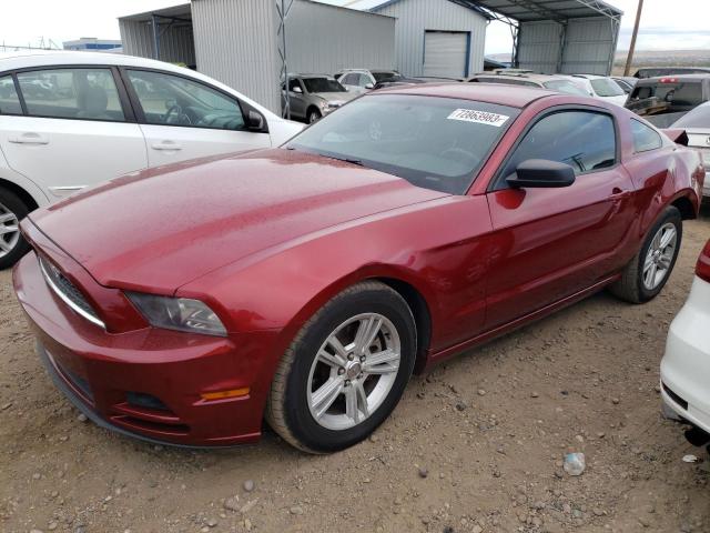 Ford All models (2014)