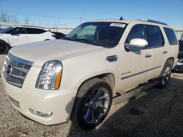 Cadillac Escalade (2012)