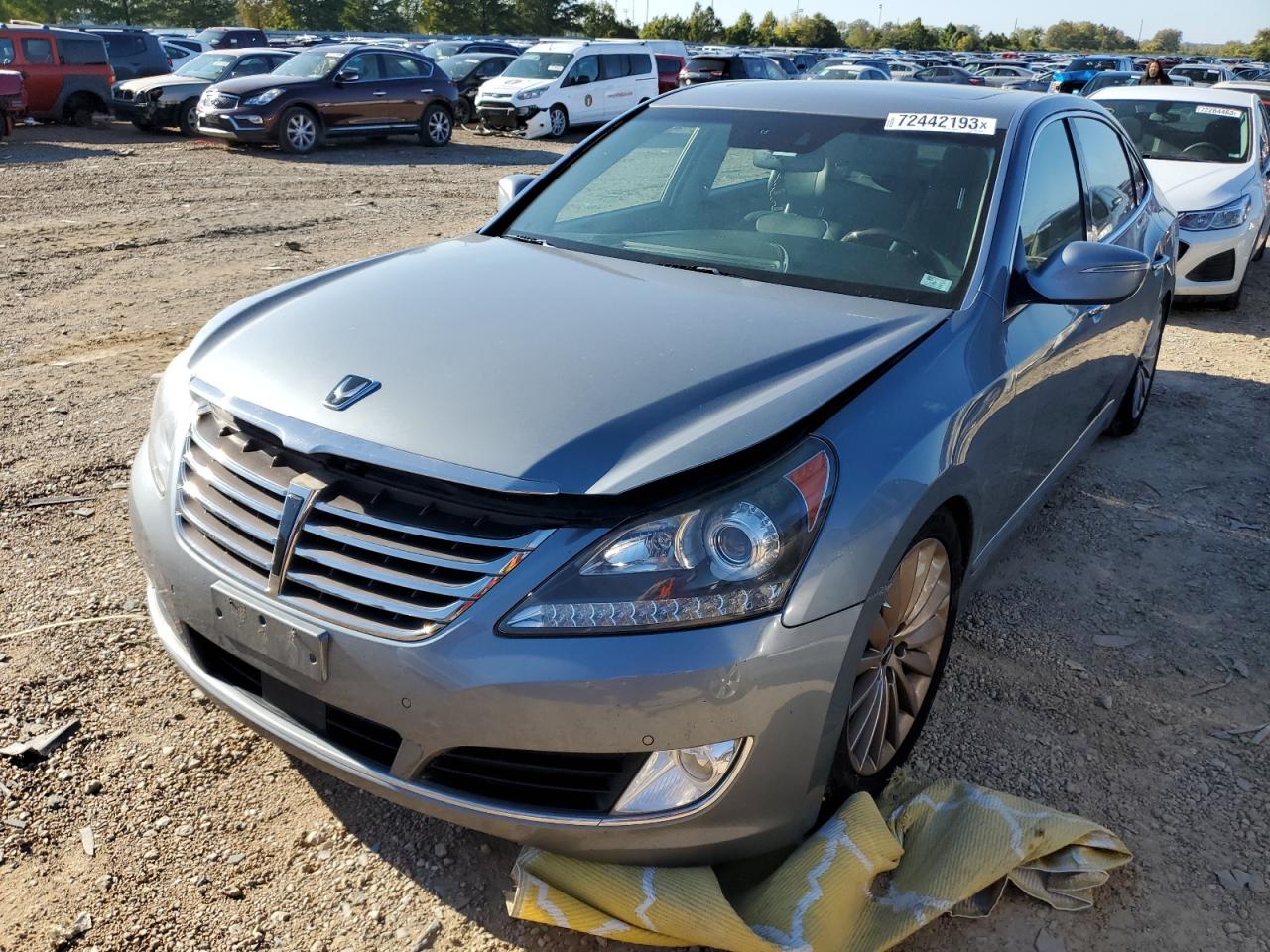 Hyundai Equus sign (2015)