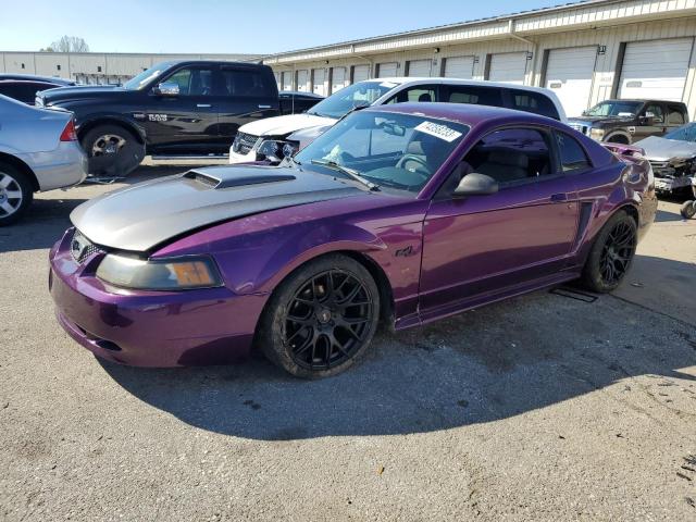 Ford All models (2003)