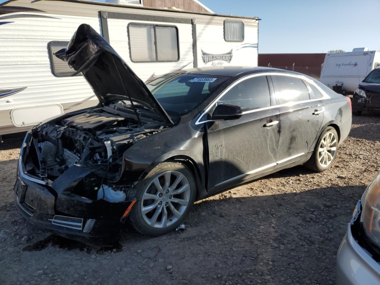Cadillac Xts luxury (2016)