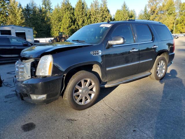 Cadillac Escalade (2009)