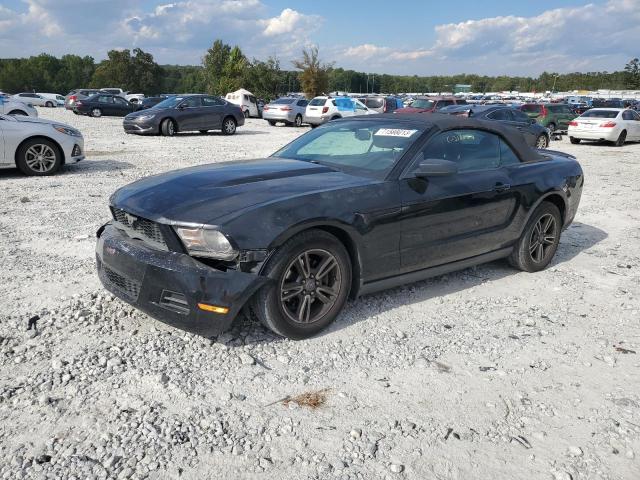 Ford All models (2011)
