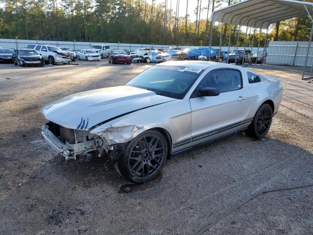 Ford All models (2010)