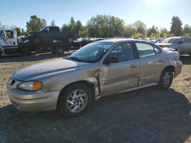 Pontiac Grandam (2004)