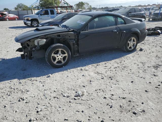 Ford All models (2004)