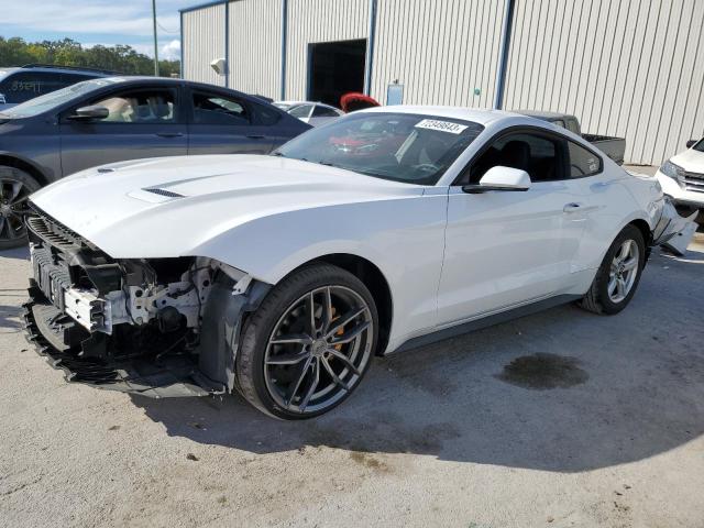 Ford All models (2019)