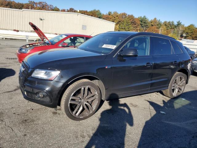 Audi Sq5 (2015)