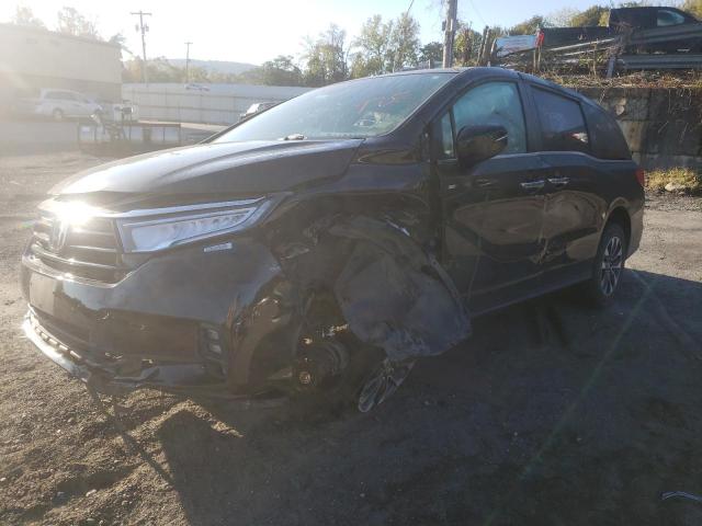 Honda All models (2021)