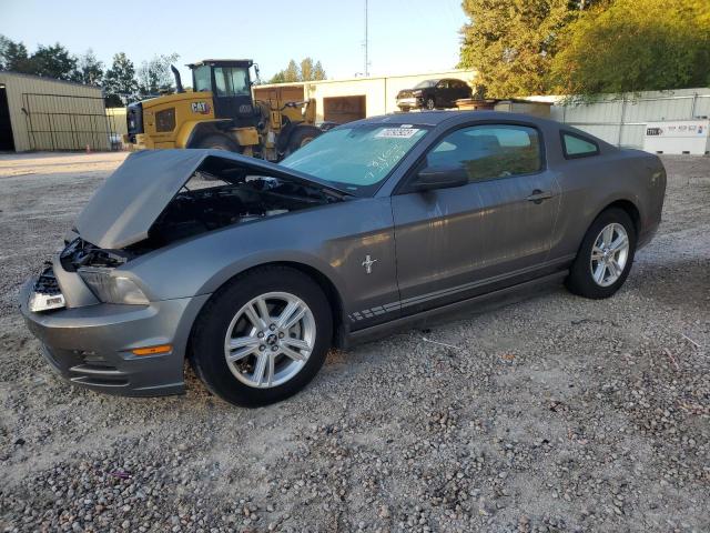 Ford All models (2014)