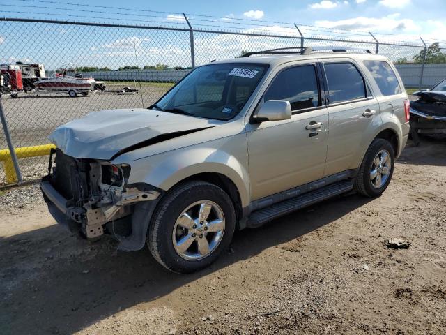 Ford Escape (2010)