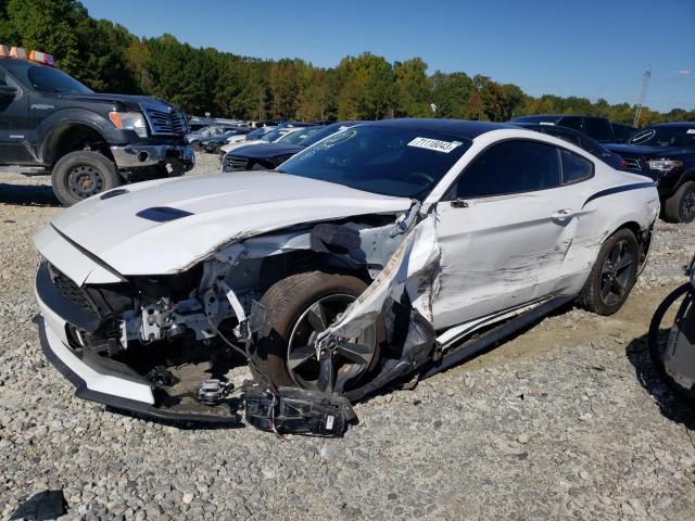 Ford All models (2019)