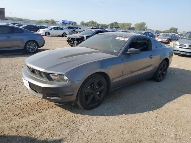 Ford All models (2010)