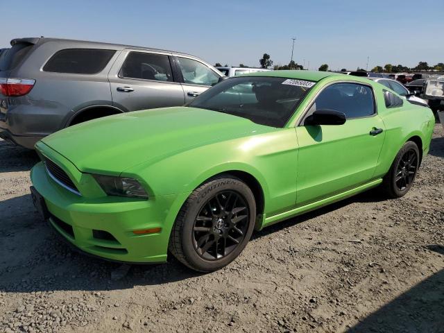 Ford All models (2014)