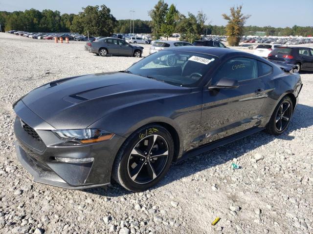 Ford All models (2019)