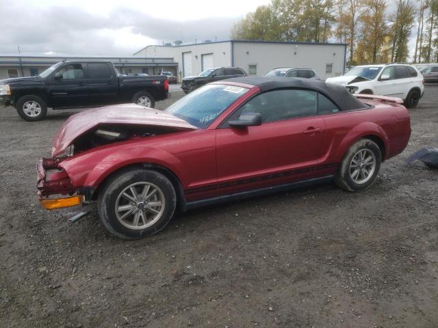 Ford All models (2005)