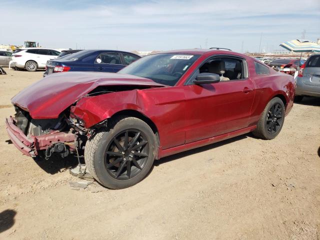 Ford All models (2014)