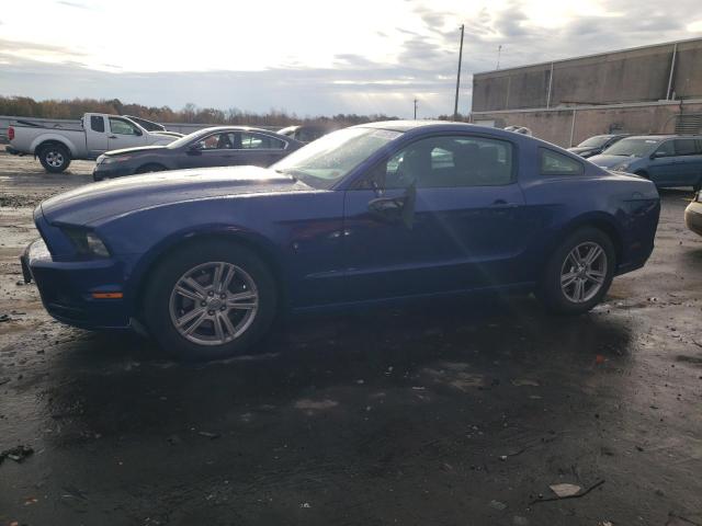 Ford All models (2014)