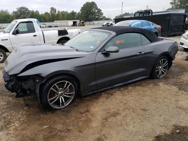 Ford All models (2017)