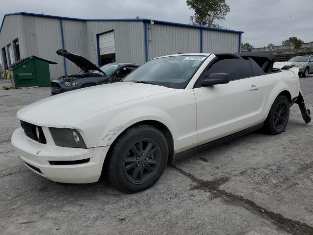 Ford All models (2005)