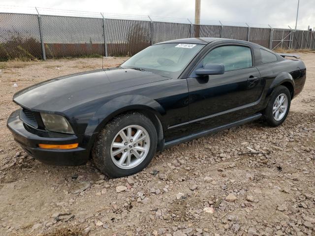 Ford All models (2005)