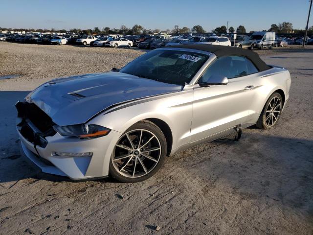Ford All models (2019)