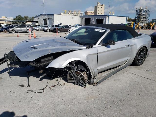Ford All models (2019)