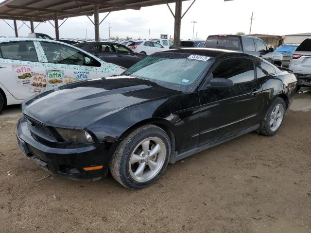 Ford All models (2010)